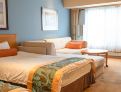 room overview picture