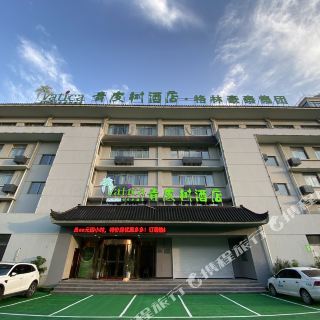 青皮树酒店(安庆吾悦广场博爱医院店)
