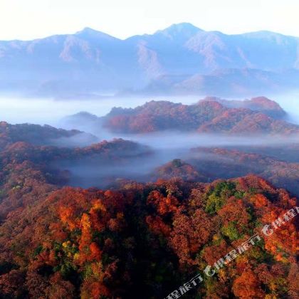 光雾山旅游景区+恩阳古镇+米仓山国家森林公园+十八月潭景区+成都+汉中+巴中5日3晚跟团游 光雾山旅游景区+恩阳古镇+米仓山国家森林公园+十八月潭景区+成都+汉中+巴中5日3晚跟团游