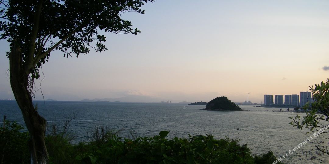 霞涌镇大岭村6号(黄金海岸对面)