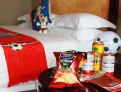 room overview picture