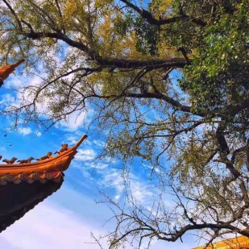 普陀山2日自由行 普陀山2日自由行