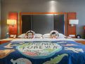 room overview picture