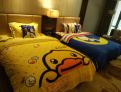 room overview picture