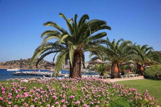 Princess Artemisia Hotel in Muğla | 2024 Updated prices, deals - Klook United States