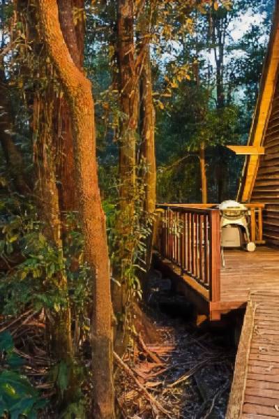 The Mouses House Rainforest Retreat