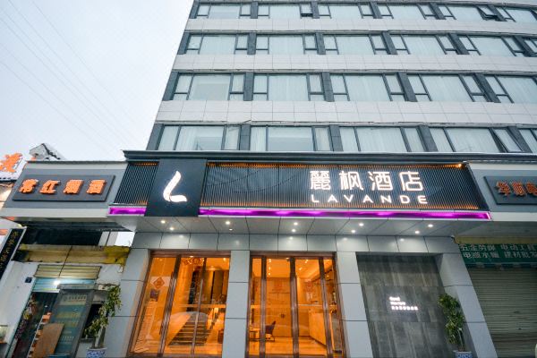丽枫酒店(武汉王家湾汉阳客运站地铁站店)