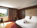 room overview picture
