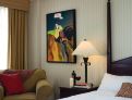 room overview picture