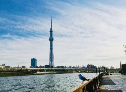 カンガルーホテル