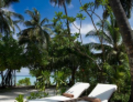 room overview picture