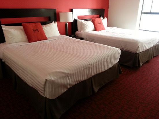 Moda Hotel-Vancouver Updated 2023 Room Price-Reviews & Deals | Trip.com