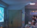 room overview picture