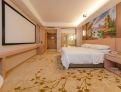room overview picture