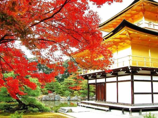 【携程攻略】大阪Mille-feuille(大阪国际机场店