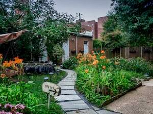 华盛顿景点推荐\/旅游景点排名,华盛顿景点大全