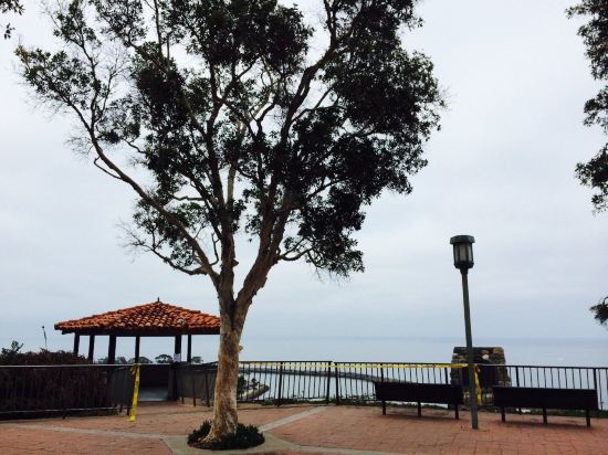 蓝灯笼旅馆,四姐妹旅馆预订及价格查询【携程