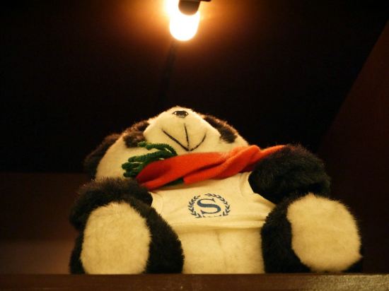 札幌艾米西亚酒店点评,札幌艾米西亚酒店怎么