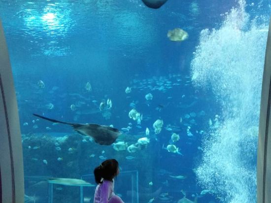 新加坡圣淘沙名胜世界海滨别墅酒店点评,新加