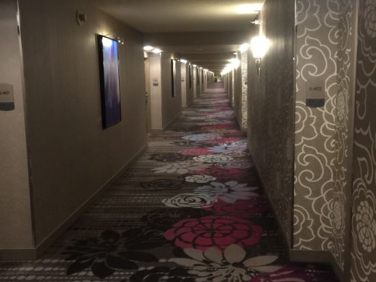 拉斯维加斯美高梅赌场酒店预订及价格查询【携