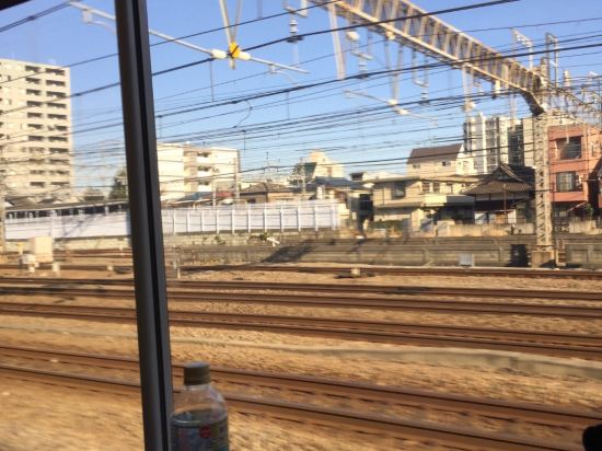 横滨湾喜来登大酒店预订及价格查询【携程海外