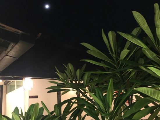 马六甲风筝旅馆预订及价格查询【携程海外酒店