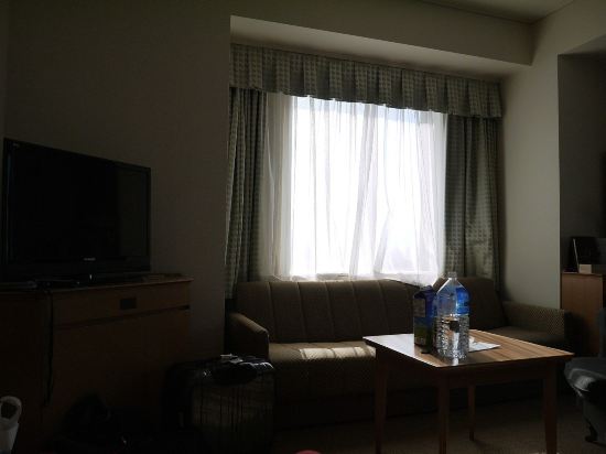 札幌艾米西亚酒店点评,札幌艾米西亚酒店怎么