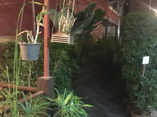 清迈武里府画廊饭店预订及价格查询【携程海外