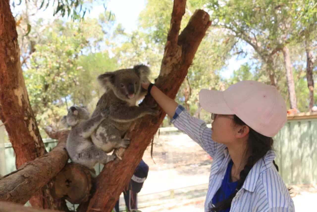 探索家国际志愿者项目-澳洲动植物保护10天游