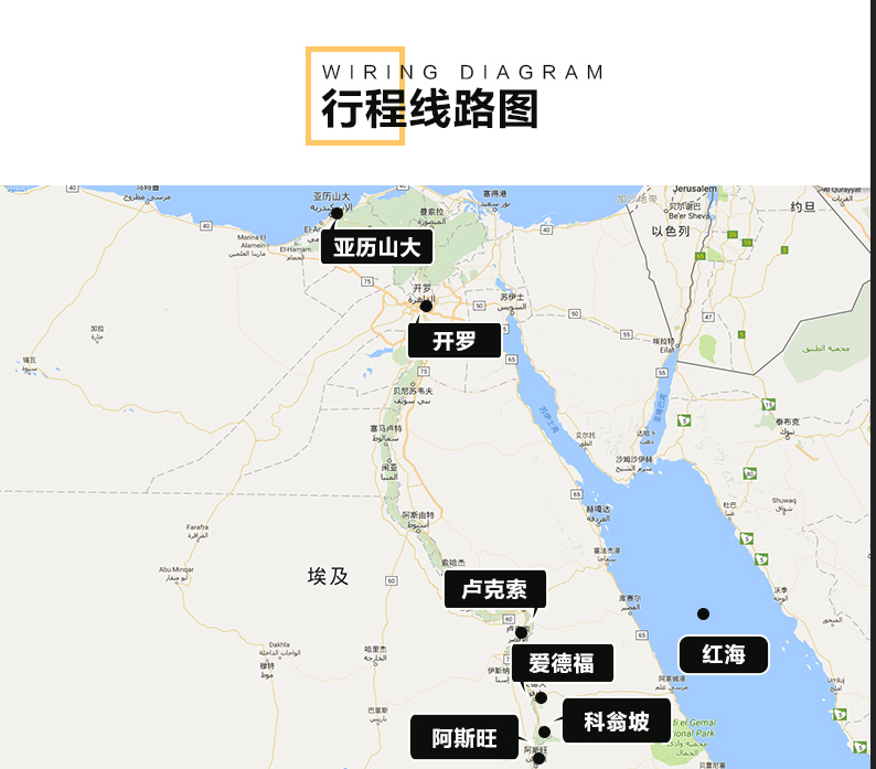 埃德萨拉 人口普查_Frog Census V 1.5.1