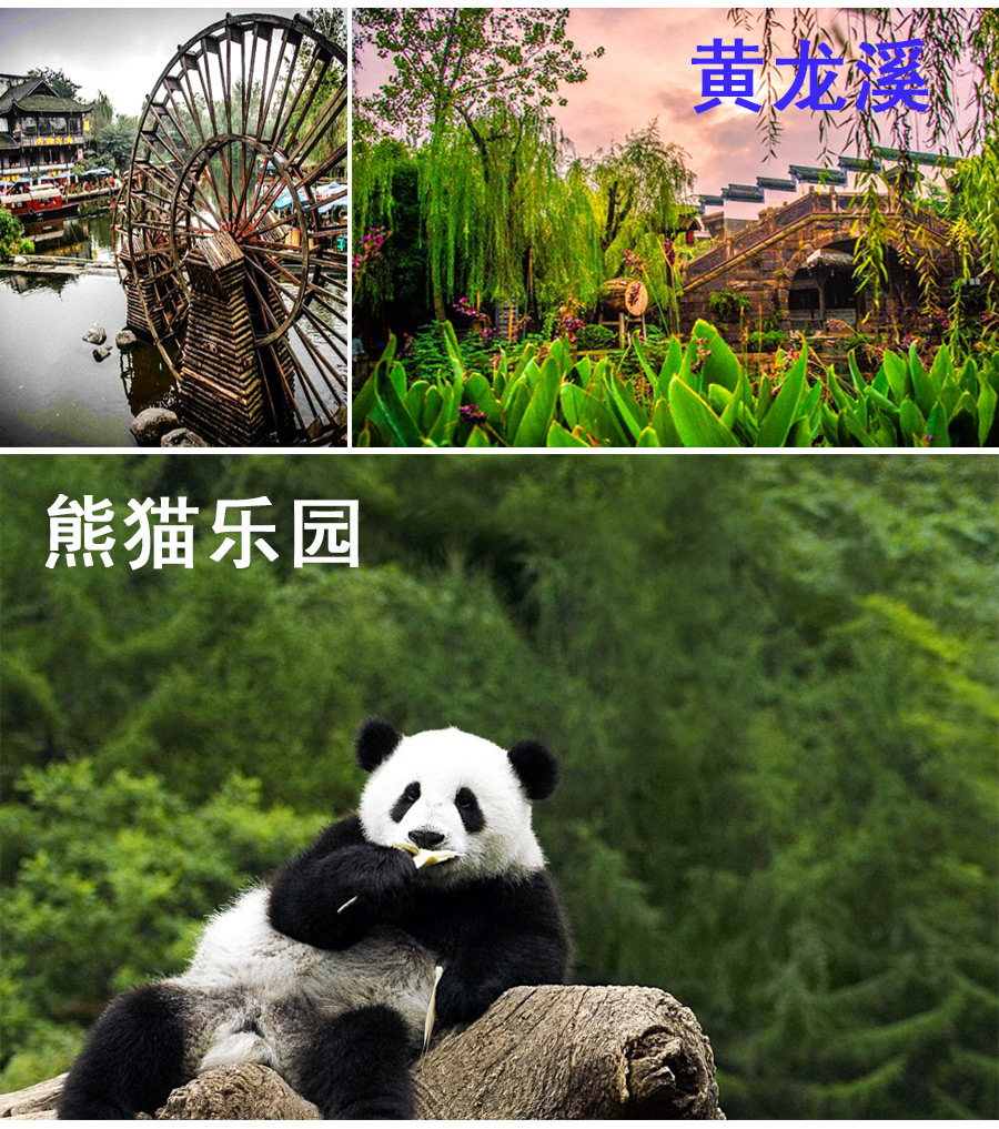 乐山+峨眉山+都江堰3日2晚跟团游黄龙溪古云师大附近美食图片