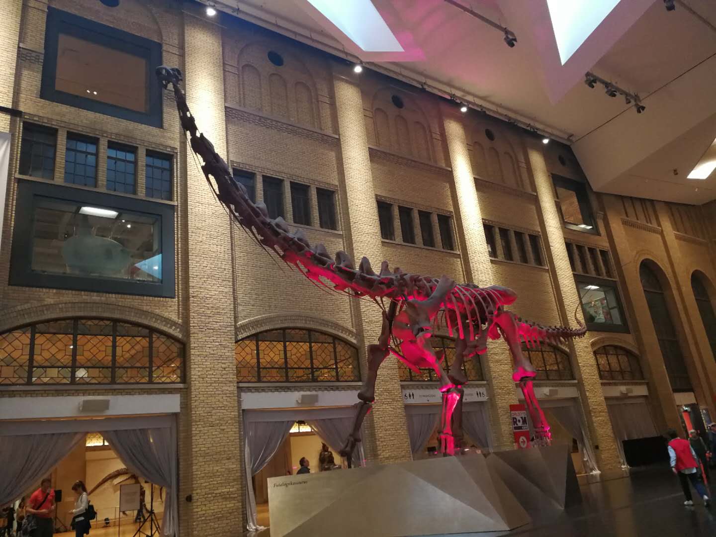 加拿大多伦多中小学沉浸式插班+自然、人文、