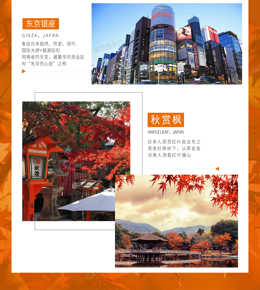 日本大阪+东京+京都+富士山6日5晚跟团游·含