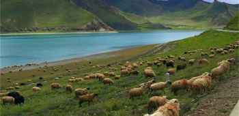 西藏拉萨+珠峰大本营+纳木措8日7晚跟团游·