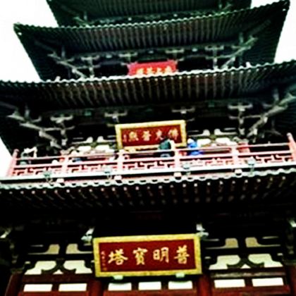 苏州+上海2日1晚跟团游 苏州+上海2日1晚跟团游
