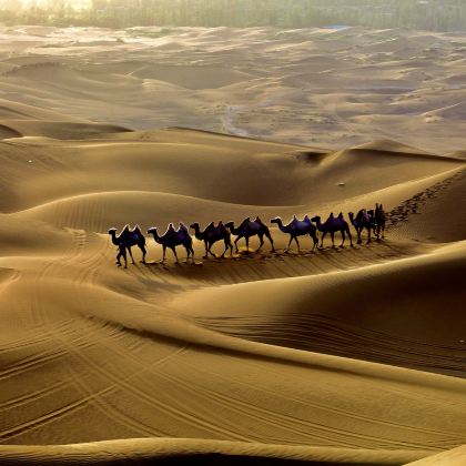 新疆乌鲁木齐+南疆9日8晚私家团 新疆乌鲁木齐+南疆9日8晚私家团