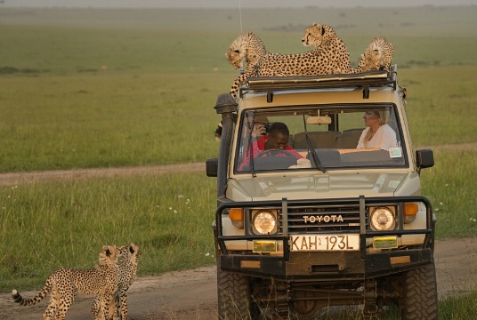肯尼亚9日6晚跟团游·趣V,KQ广州起止【东非