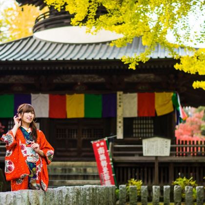 日本大阪+京都+箱根+东京7日6晚跟团游 日本大阪+京都+箱根+东京7日6晚跟团游