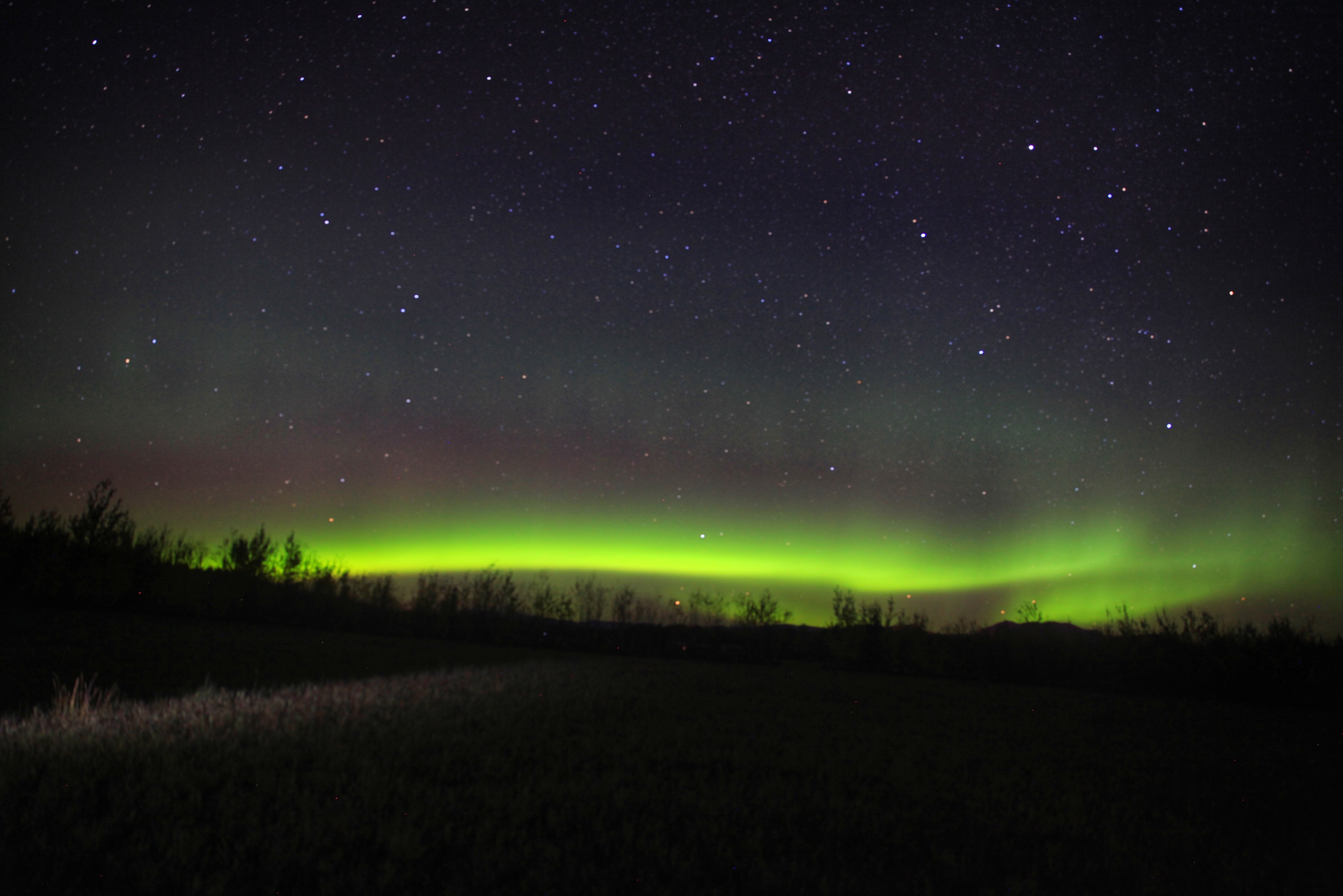 【携程攻略】上海到加拿大旅游报价,上海到加