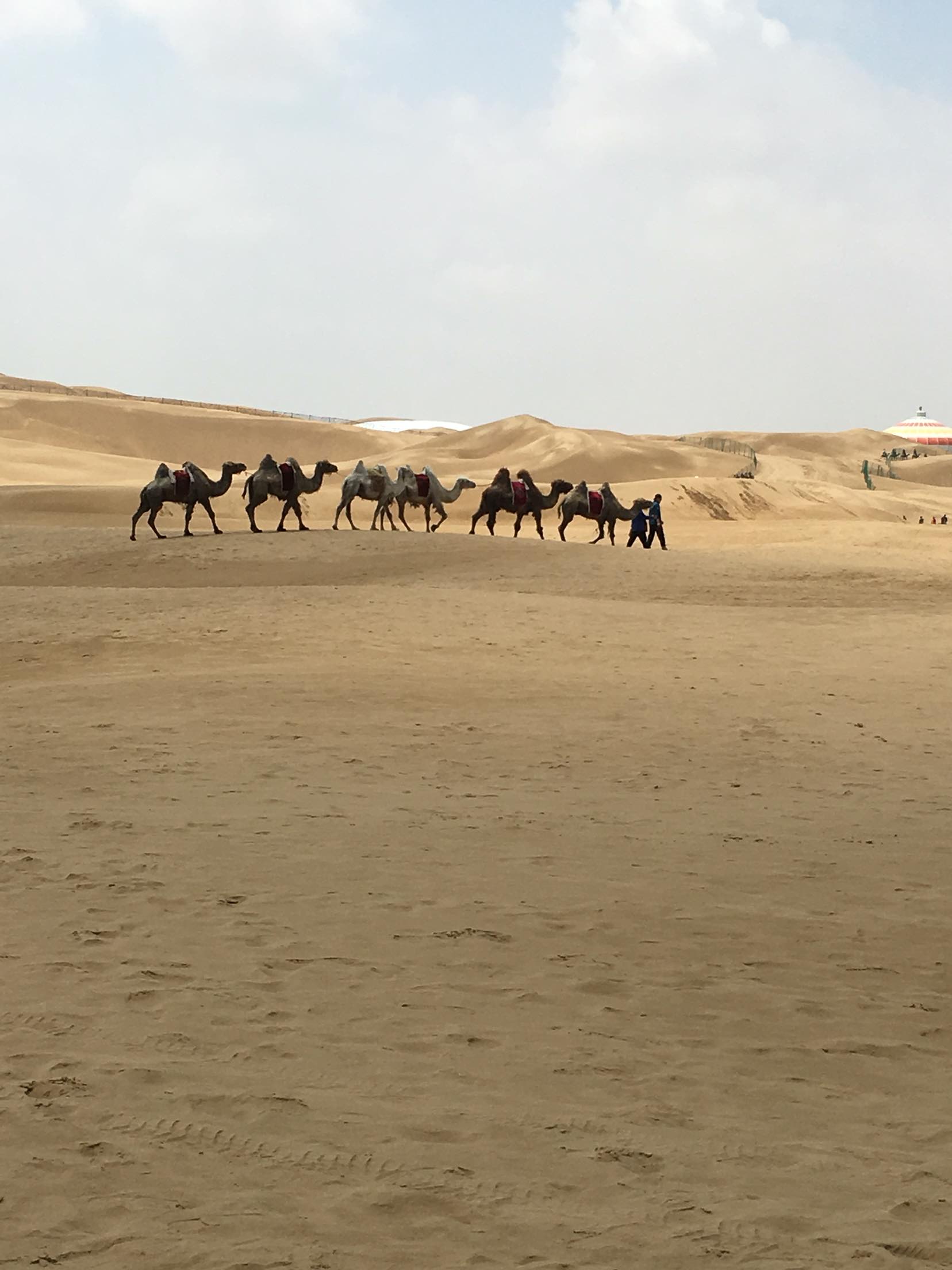 内蒙古旅游怎么样,内蒙古旅游好玩吗【携程旅