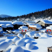黑龙江雪乡2日1晚跟团游