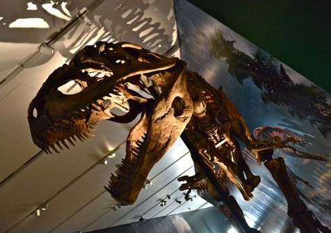 加拿大多伦多中小学沉浸式插班+自然、人文、