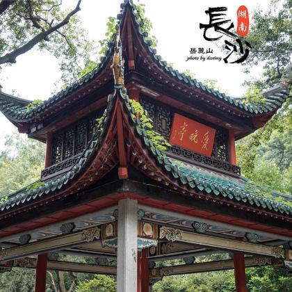 湖南长沙+浏阳河+炎帝陵+株洲方特欢乐世界6日5晚私家团 湖南长沙+浏阳河+炎帝陵+株洲方特欢乐世界6日5晚私家团