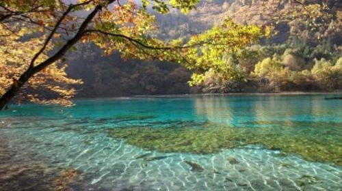 四川九寨沟3日2晚跟团游·+熊猫乐园+双晚会