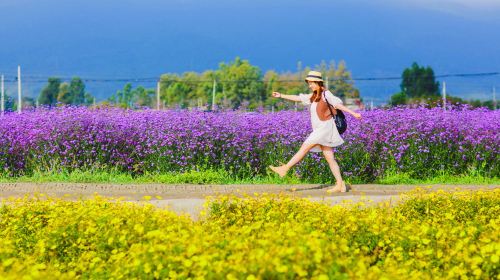 云南昆明+大理+丽江6日5晚跟团游·5星温泉+