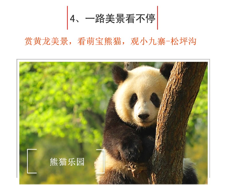 300512000000rzqcs299B.png