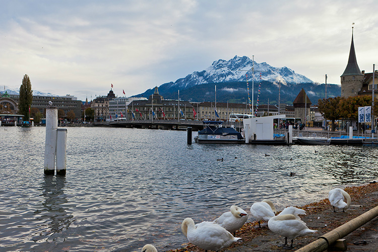 法国巴黎+瑞士+琉森+因特拉肯+苏黎世+蒙特勒