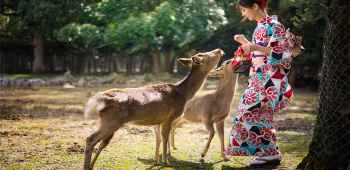 日本大阪环球影城+京都+奈良+东京迪士尼(Dis