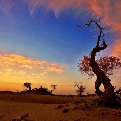 新疆乌鲁木齐+南疆8日7晚私家团 新疆乌鲁木齐+南疆8日7晚私家团