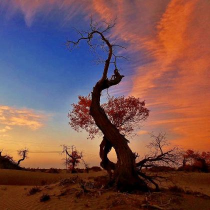 新疆乌鲁木齐+南疆8日7晚私家团 新疆乌鲁木齐+南疆8日7晚私家团